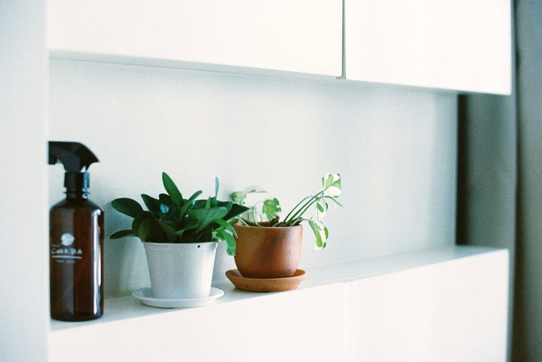 Eco-friendly, plant-based cleaning products